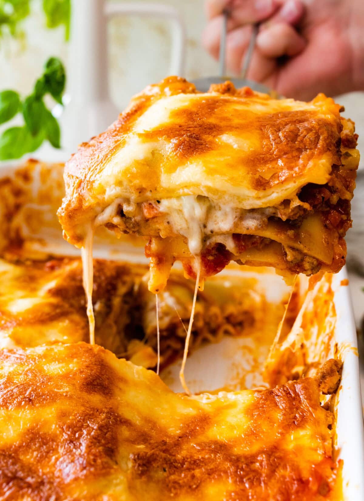 italian food